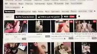 أسد امريكي مشاهدة فندق صغير