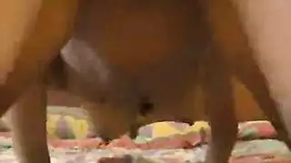 جلسة نيك حيوانية في الصحراء