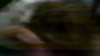 أفلام إكس إكس إكس محجبات: شعر مغطى، رغبات مكشوفة