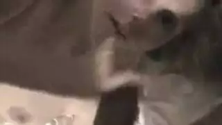 animal sex xxx: horse breeds young girl rough