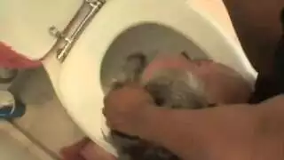 أمهات متحولات ساخنات يظهرن القضيب على منصة العرض للرجال المثارين