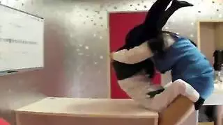 بكر مترجم