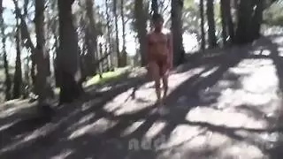 بورنوستاتيكا