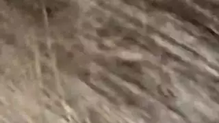 خيال جنس جماعي في الفناء الخلفي مع شاب ملتحي وامرأة ناضجة