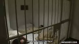 سجن النساء إكس إكس إكس: جلسة لحس كسي مشعر