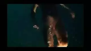 الأمير ينيك الاميرة