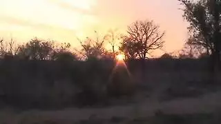 طفل نيك عجوزةفي الغابة