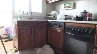 لعبه الإذلال الديوث مثلي الجنس الأسود ذكر