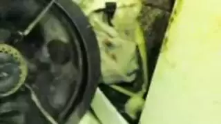 نيك في حمام الحي مع مراهقة مصرية