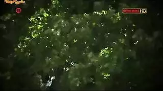 أول نيك: مشهد الجنس الجماعي الأول لمورجان مع قضبان سوداء كبيرة