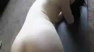 مراهقة تأخذ قضيب وحش ضخم في وجهها