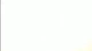 حارس أمن العربدة مثليه نائب الرئيس مقايضة