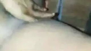 مص خجول مزرعة