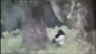 ترنديف بنات الجامعة في لوتال عربي