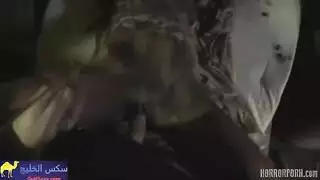 ينيك العفريتة الي عملتلة العمل