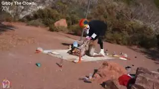 ضرب يدي مع الحس