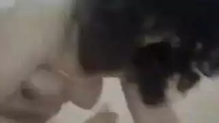 مقيدة ومتحمسة، تستمني كسها الحليق