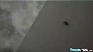 لوط قضيب طويل