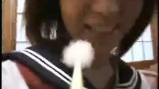 حصان حيوان مع نساع