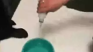 افليم الاغزاء والاثازة