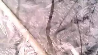 نيج المراه وهي واقفه