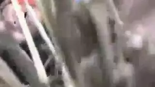 تاتات