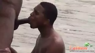 شواذ كويين