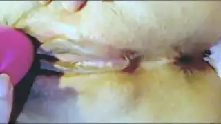 حلق عميق ثم كريم عنقي لهذا القضيب الأكبر سنًا