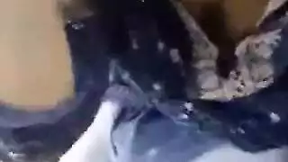 سكس مصري فضا غش البكاره مشقادره قادره