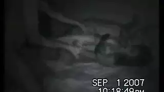 سيرين عبد النور تنتاك