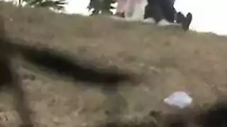 مدها
