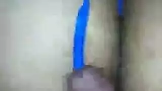جنس حيواني جامد وخشن