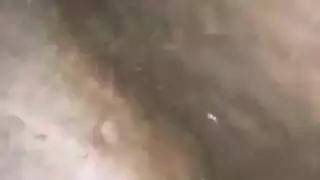 شبه الجزيرة العربية