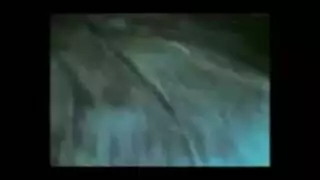 هيفاءوهبيتنيك