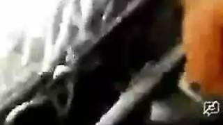 مثير جولة العين البني الحمار