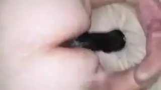 راعية البقر العكسي قطعة كبيرة الدهون ناضجة