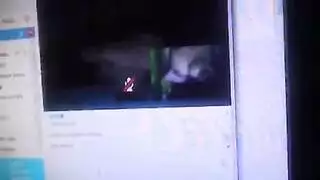 سيدات آسرات في مواجهات إباحية إجبارية قاسية