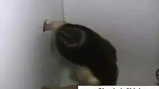 لم ترَ واحدًا بهذا الحجم من قبل تدك كسها المبلول