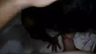 أحلام الإيلاج المزدوج: جنس ثنائي صريح