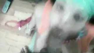 سلسلة سكس مثلية جماعية صريحة