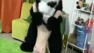 سكسي حيوان ونسان