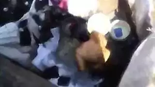 مغامرة إباحية عالمية: إباحية من جميع أنحاء العالم