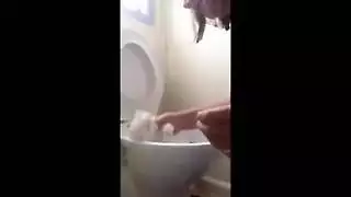 أجمل نساء العالم في أفلام إباحية خام