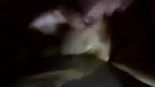 فيديوهات سكس اكس نيك والبوس رجال
