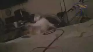 اغتصبها لانها وحدها في المنزل