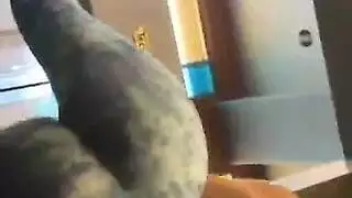 هواة محلي الصنع يخلعون ملابسهم في مكان مهجور