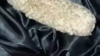 أتلقى كل بوصة من زبه الصلب عميقًا في داخلي