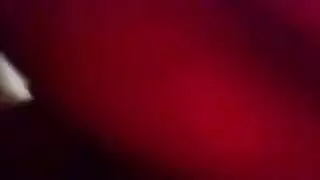 اولاد اباحي نيج كوري