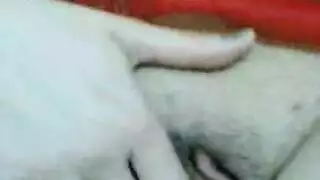 احلى كس ناعم جدا
