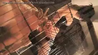 سكسكي عائله